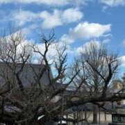 ヒメ日記 2025/01/25 16:43 投稿 あかね 阪神人妻花壇