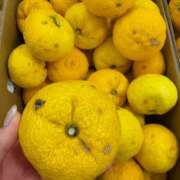 ヒメ日記 2024/12/21 19:09 投稿 あかね 大阪人妻援護会