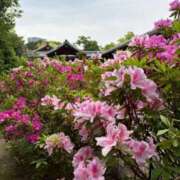 ヒメ日記 2026/04/27 15:00 投稿 あかね 大阪人妻援護会
