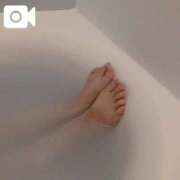 ヒメ日記 2025/04/09 11:21 投稿 本郷しおん【OL委員会】 柏OL委員会