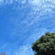 ヒメ日記 2025/06/04 09:01 投稿 本郷しおん【OL委員会】 柏OL委員会