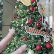 ヒメ日記 2025/11/29 12:59 投稿 本郷しおん【OL委員会】 柏OL委員会