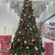 ヒメ日記 2025/12/08 11:10 投稿 本郷しおん【OL委員会】 柏OL委員会