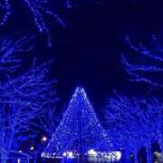 ヒメ日記 2025/12/09 09:50 投稿 本郷しおん【OL委員会】 柏OL委員会