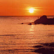 ヒメ日記 2026/01/20 10:50 投稿 本郷しおん【OL委員会】 柏OL委員会