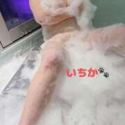 ヒメ日記 2025/01/21 13:35 投稿 いちか 西船人妻花壇