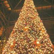 ヒメ日記 2024/12/25 17:05 投稿 かんな 桃李（とうり）