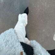 ヒメ日記 2024/12/29 15:24 投稿 かんな 桃李（とうり）