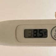 ヒメ日記 2025/04/11 09:00 投稿 すい Lesson.1 水戸校