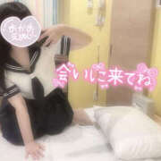 ヒメ日記 2025/05/01 17:00 投稿 すい Lesson.1 水戸校