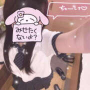 ヒメ日記 2025/05/11 17:00 投稿 すい Lesson.1 水戸校