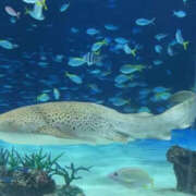 ヒメ日記 2025/06/16 08:00 投稿 すい Lesson.1 水戸校