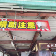 ヒメ日記 2025/06/23 09:00 投稿 すい Lesson.1 水戸校