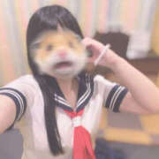 ヒメ日記 2025/07/22 22:05 投稿 すい Lesson.1 水戸校