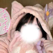 ヒメ日記 2025/10/23 17:00 投稿 すい Lesson.1 水戸校