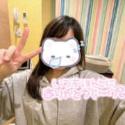 ヒメ日記 2025/11/04 10:00 投稿 すい Lesson.1 水戸校