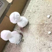 ヒメ日記 2026/02/08 20:10 投稿 すい Lesson.1 水戸校