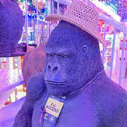 ヒメ日記 2026/04/19 18:01 投稿 すい Lesson.1 水戸校