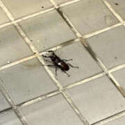 ヒメ日記 2026/07/13 12:00 投稿 すい Lesson.1 水戸校