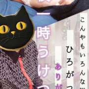 ヒメ日記 2024/11/03 23:03 投稿 弥生-やよい 熟女10000円デリヘル 川崎