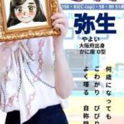 ヒメ日記 2025/03/27 10:36 投稿 弥生-やよい 熟女10000円デリヘル 川崎