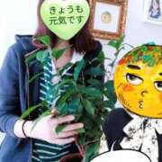 ヒメ日記 2025/04/11 13:51 投稿 弥生-やよい 熟女10000円デリヘル 川崎