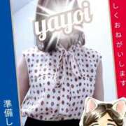 ヒメ日記 2025/06/27 15:40 投稿 弥生-やよい 熟女10000円デリヘル 川崎