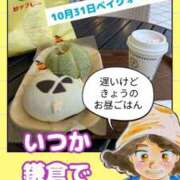 ヒメ日記 2025/10/31 15:54 投稿 弥生-やよい 熟女10000円デリヘル 川崎