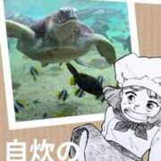 ヒメ日記 2025/11/18 00:00 投稿 弥生-やよい 熟女10000円デリヘル 川崎