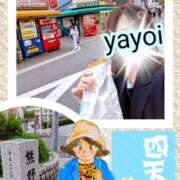 ヒメ日記 2025/12/11 17:24 投稿 弥生-やよい 熟女10000円デリヘル 川崎