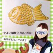 ヒメ日記 2025/12/12 16:44 投稿 弥生-やよい 熟女10000円デリヘル 川崎