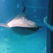 ヒメ日記 2026/01/10 09:50 投稿 弥生-やよい 熟女10000円デリヘル 川崎