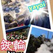 ヒメ日記 2026/01/12 17:43 投稿 弥生-やよい 熟女10000円デリヘル 川崎