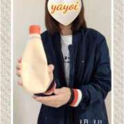 ヒメ日記 2026/03/03 21:02 投稿 弥生-やよい 熟女10000円デリヘル 川崎