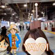 ヒメ日記 2026/03/12 11:25 投稿 弥生-やよい 熟女10000円デリヘル 川崎