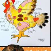 ヒメ日記 2026/04/04 21:30 投稿 弥生-やよい 熟女10000円デリヘル 川崎