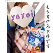 ヒメ日記 2026/09/01 07:41 投稿 弥生-やよい 熟女10000円デリヘル 川崎