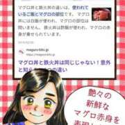 ヒメ日記 2025/03/08 12:23 投稿 弥生-やよい 熟女10000円デリヘル横浜