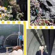 ヒメ日記 2025/04/30 11:51 投稿 弥生-やよい 熟女10000円デリヘル横浜