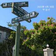 ヒメ日記 2025/04/30 15:45 投稿 弥生-やよい 熟女10000円デリヘル横浜