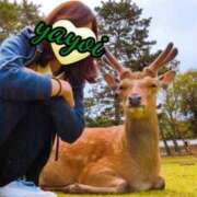 ヒメ日記 2025/05/11 17:11 投稿 弥生-やよい 熟女10000円デリヘル横浜