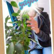 ヒメ日記 2025/05/17 14:49 投稿 弥生-やよい 熟女10000円デリヘル横浜