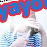 ヒメ日記 2025/05/28 09:26 投稿 弥生-やよい 熟女10000円デリヘル横浜