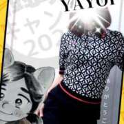 ヒメ日記 2025/09/04 12:05 投稿 弥生-やよい 熟女10000円デリヘル横浜