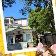 ヒメ日記 2025/09/06 15:31 投稿 弥生-やよい 熟女10000円デリヘル横浜