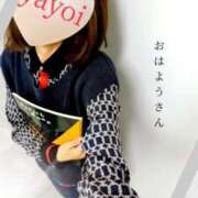 ヒメ日記 2025/12/17 09:37 投稿 弥生-やよい 熟女10000円デリヘル横浜