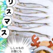 ヒメ日記 2025/12/24 12:16 投稿 弥生-やよい 熟女10000円デリヘル横浜