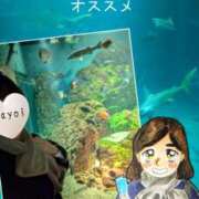 ヒメ日記 2026/01/11 11:29 投稿 弥生-やよい 熟女10000円デリヘル横浜