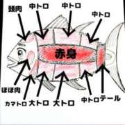 ヒメ日記 2026/02/24 10:05 投稿 弥生-やよい 熟女10000円デリヘル横浜