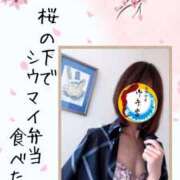 ヒメ日記 2026/03/02 11:35 投稿 弥生-やよい 熟女10000円デリヘル横浜